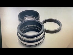 GLRD FDS2 BCH-045 SIC-SIC-HNBR/C-TC-HNBR Dla Fristam Fds Dwukrotna pompa śrubowa